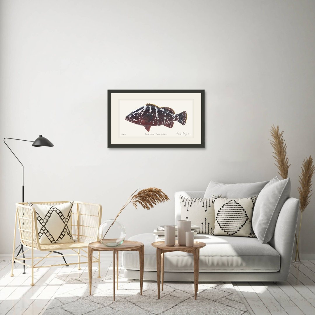 Nassau Grouper Print