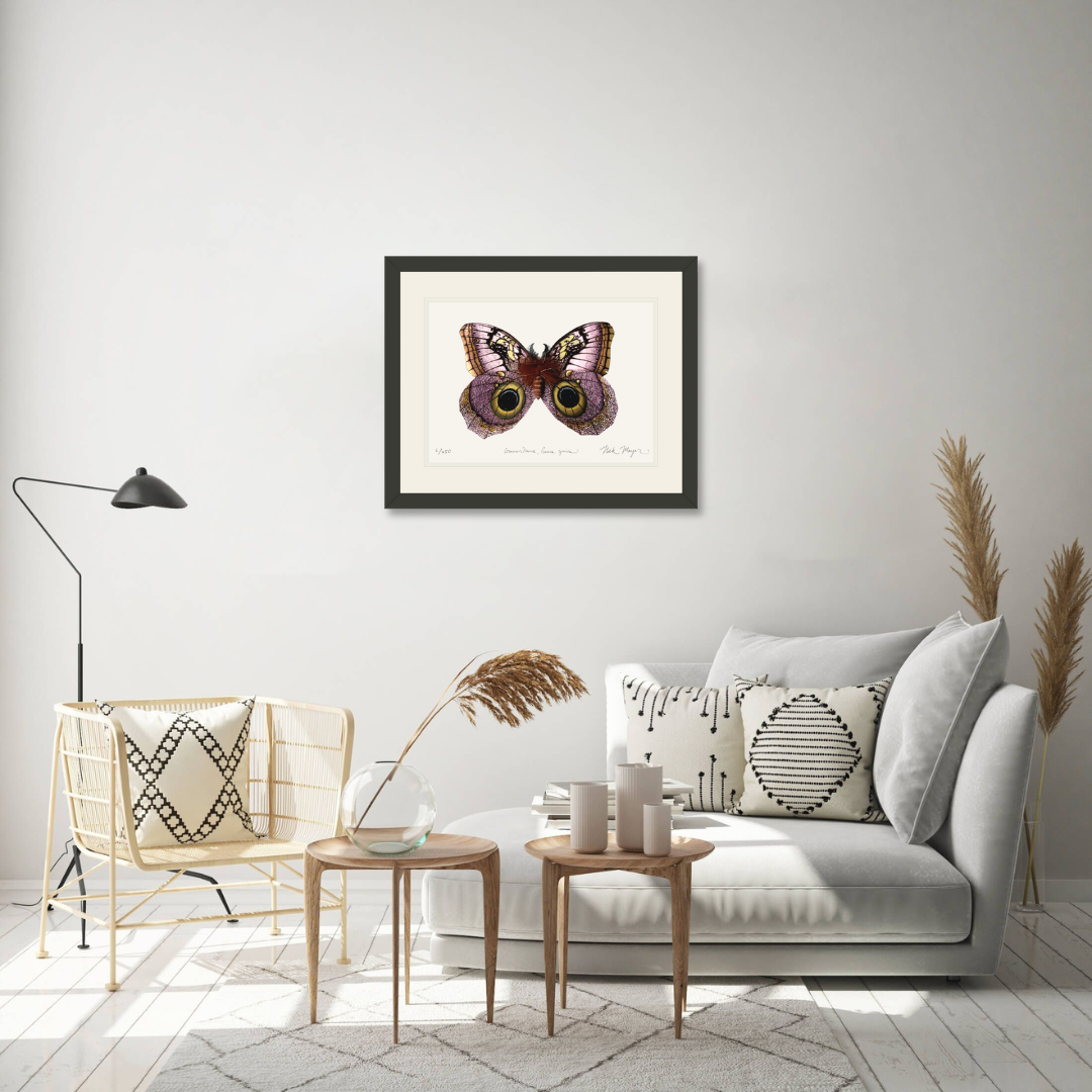 Owl Butterfly I Print