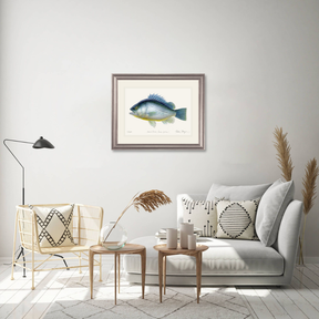 Priscacara Fossil Fish Print