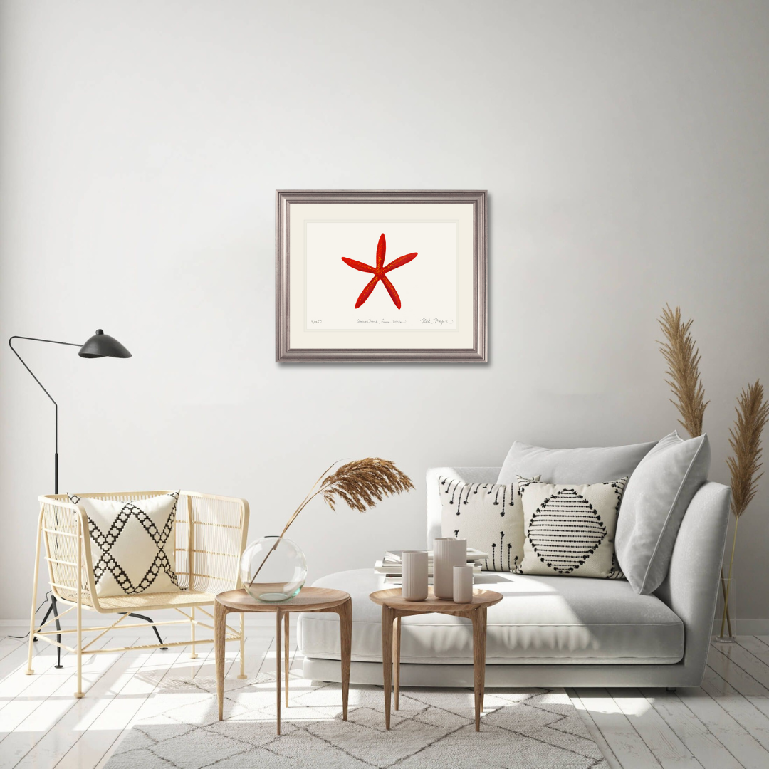 Red Linkia Starfish Limited Edition Print