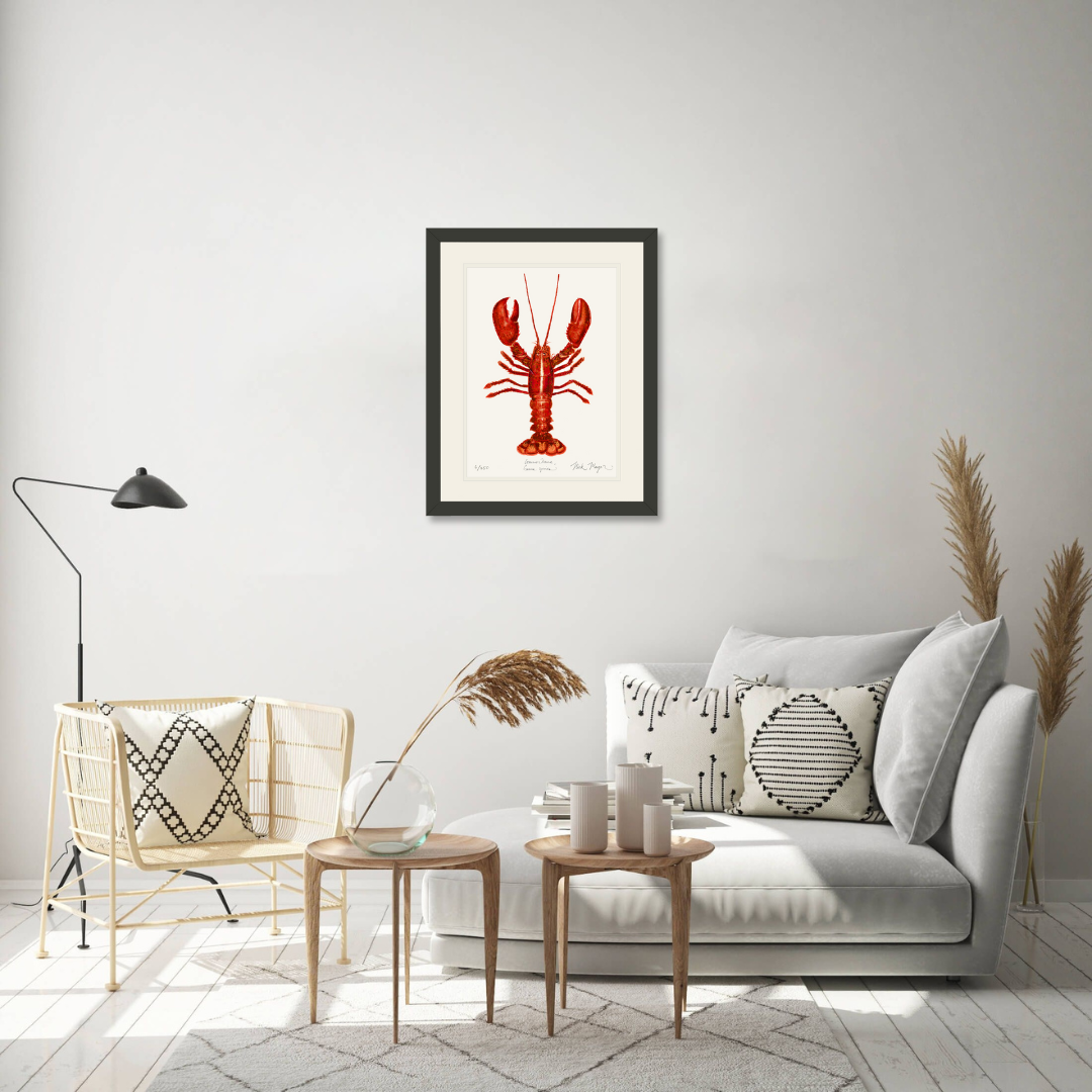 Red Lobster Print