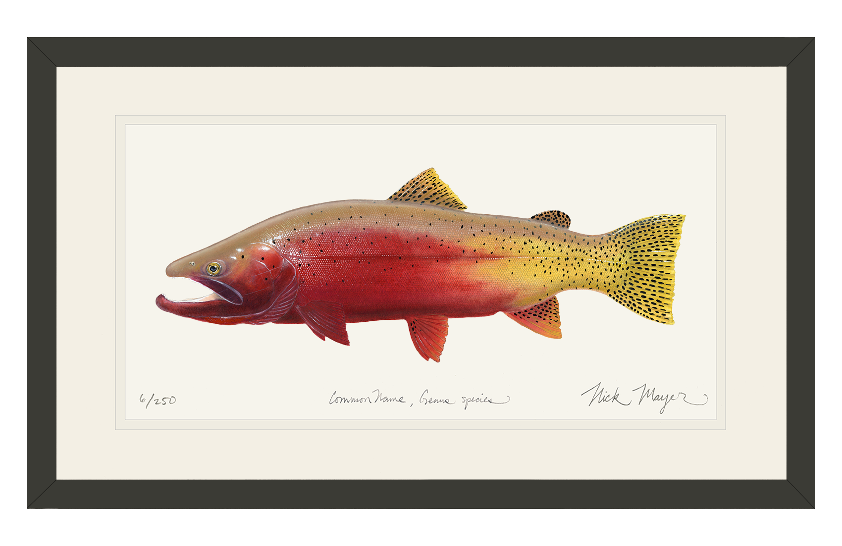 Cutthroat Trout 2 Limited Edition Print - NEW for Holiday 2025!