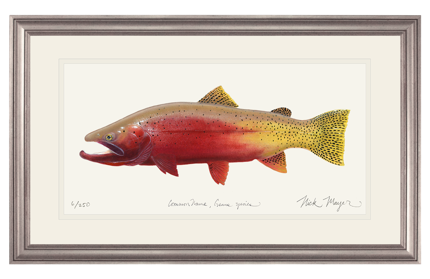 Cutthroat Trout 2 Limited Edition Print - NEW for Holiday 2025!
