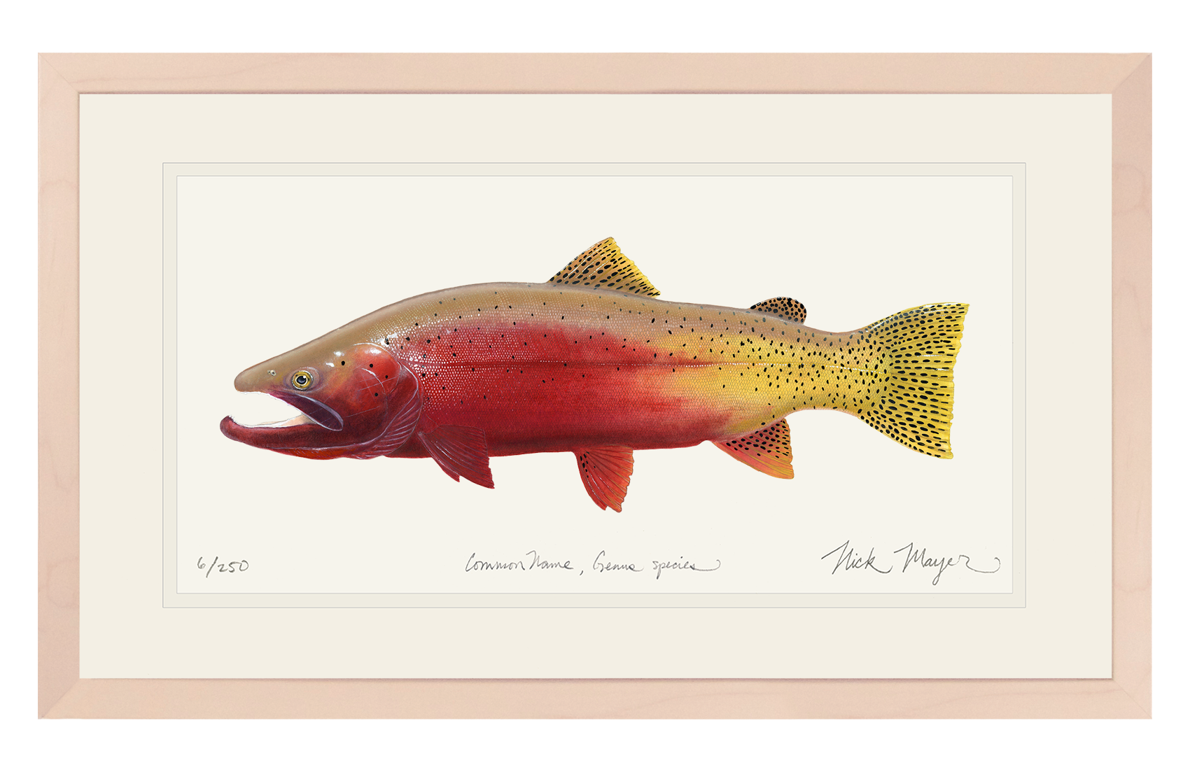 Cutthroat Trout 2 Limited Edition Print - NEW for Holiday 2025!