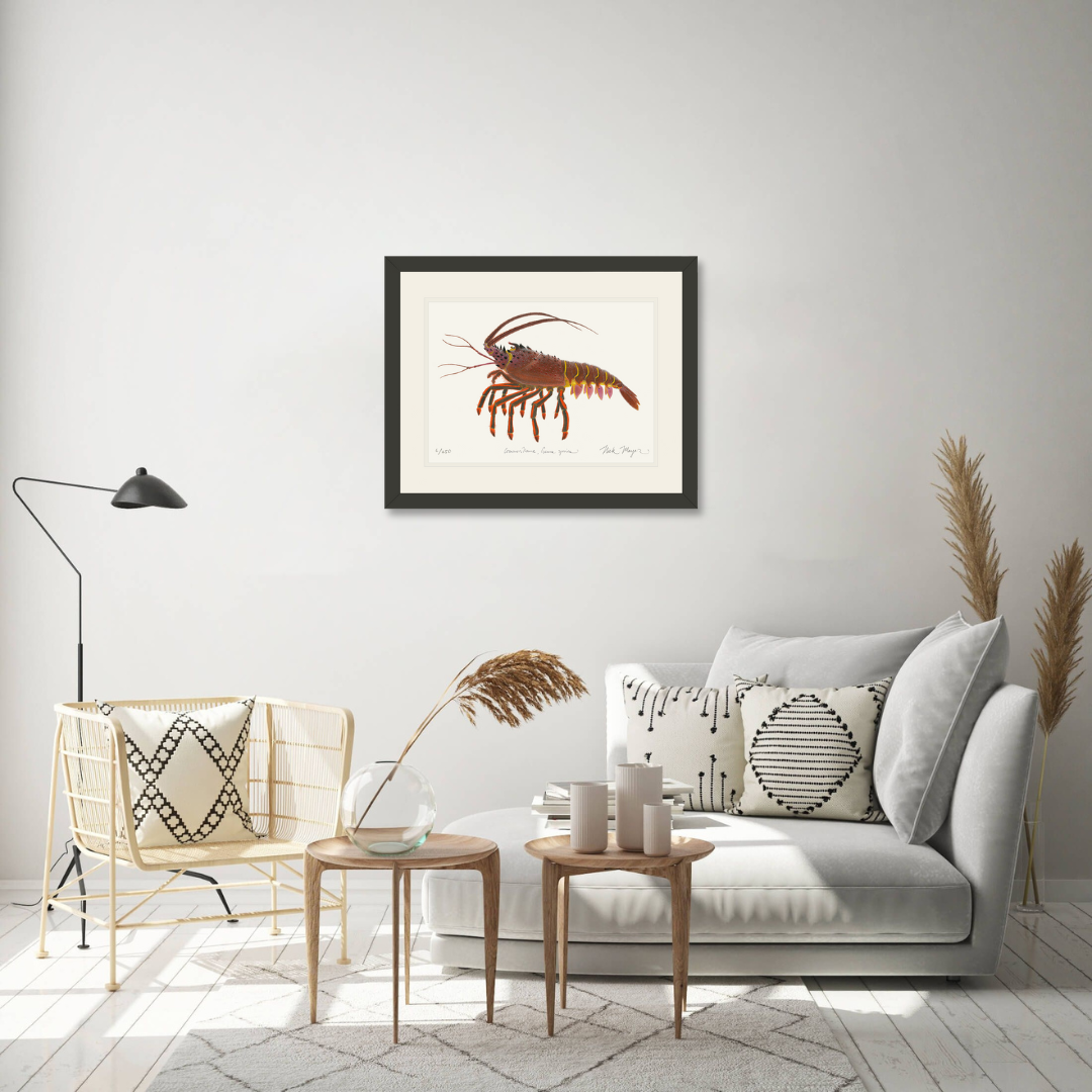 Spiny Lobster II Limited Edition Print