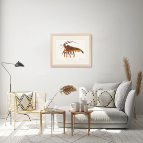 Spiny Lobster II Print