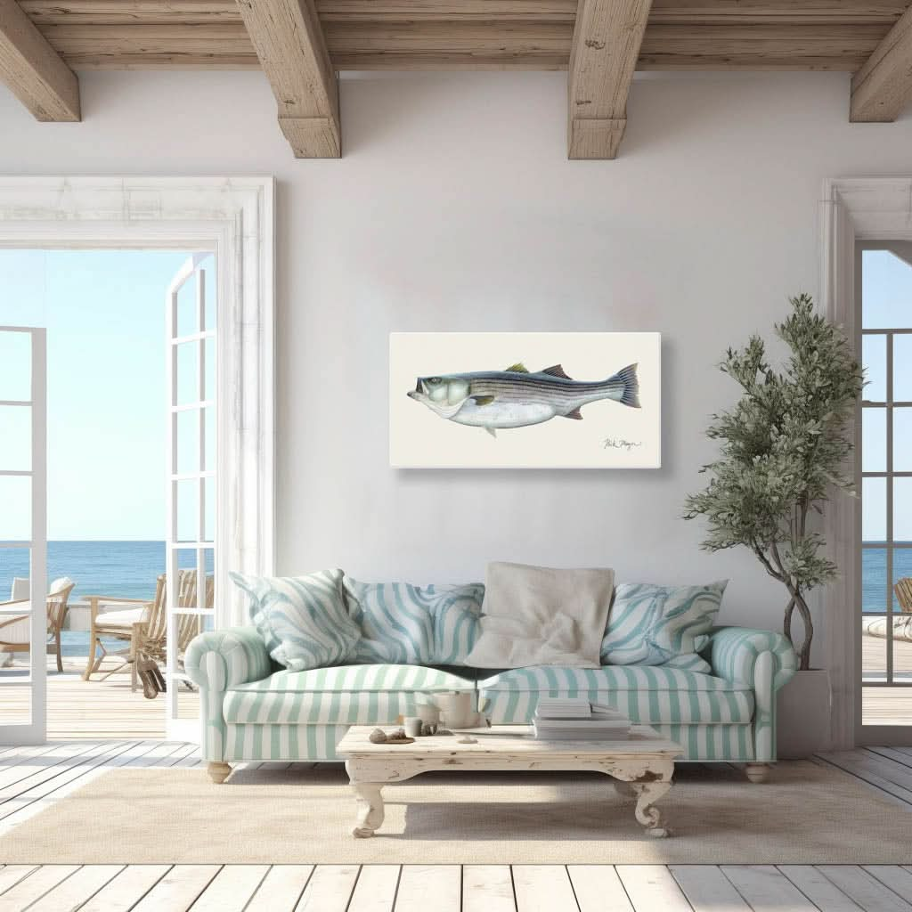 Striped Bass, 60 lbs Canvas Print