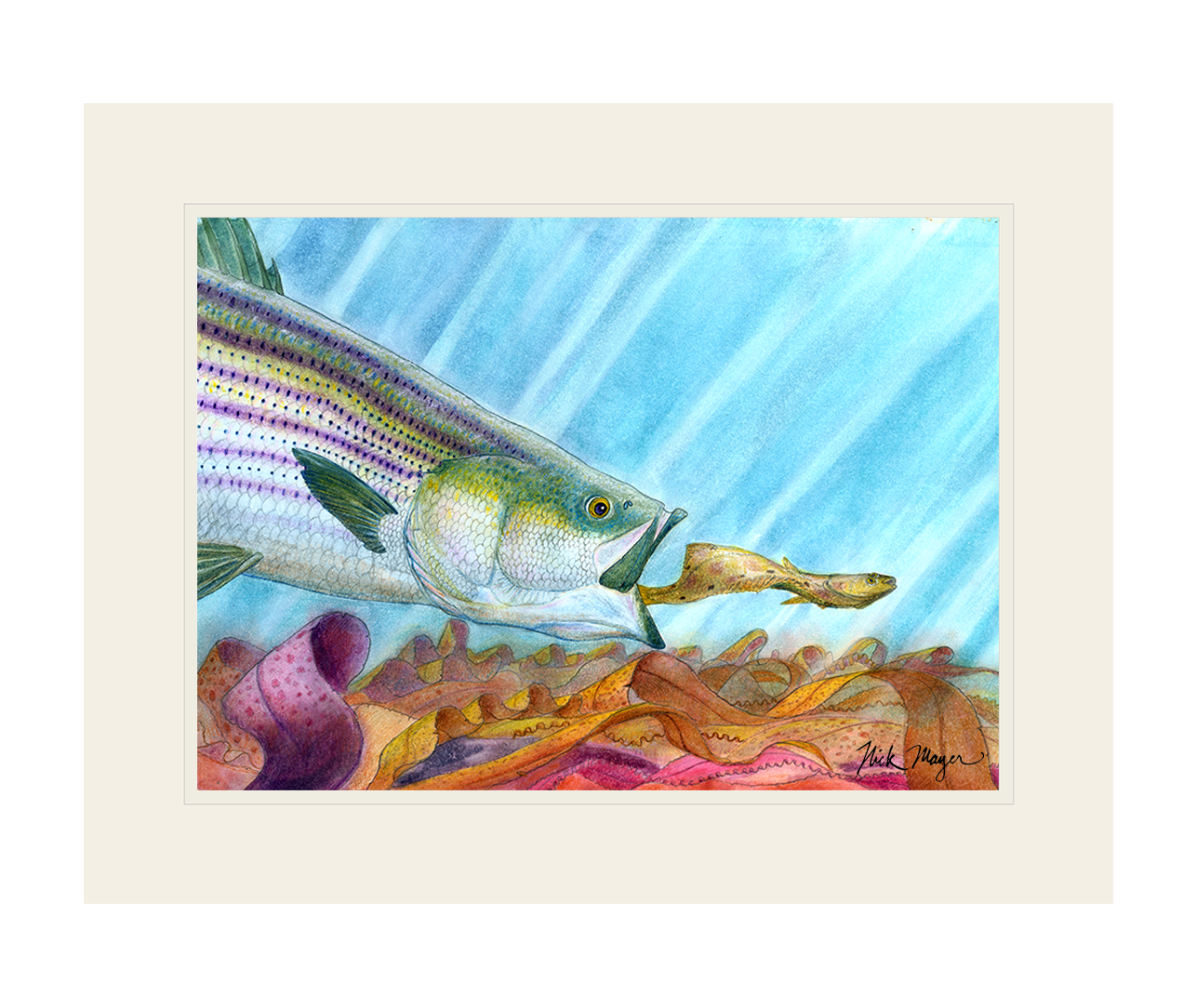 Striper and Flounder Limited Edition Print