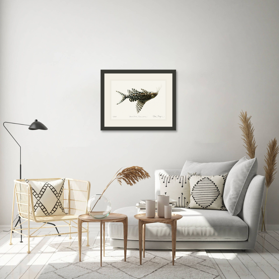 Upsidedown Catfish Limited Edition Print