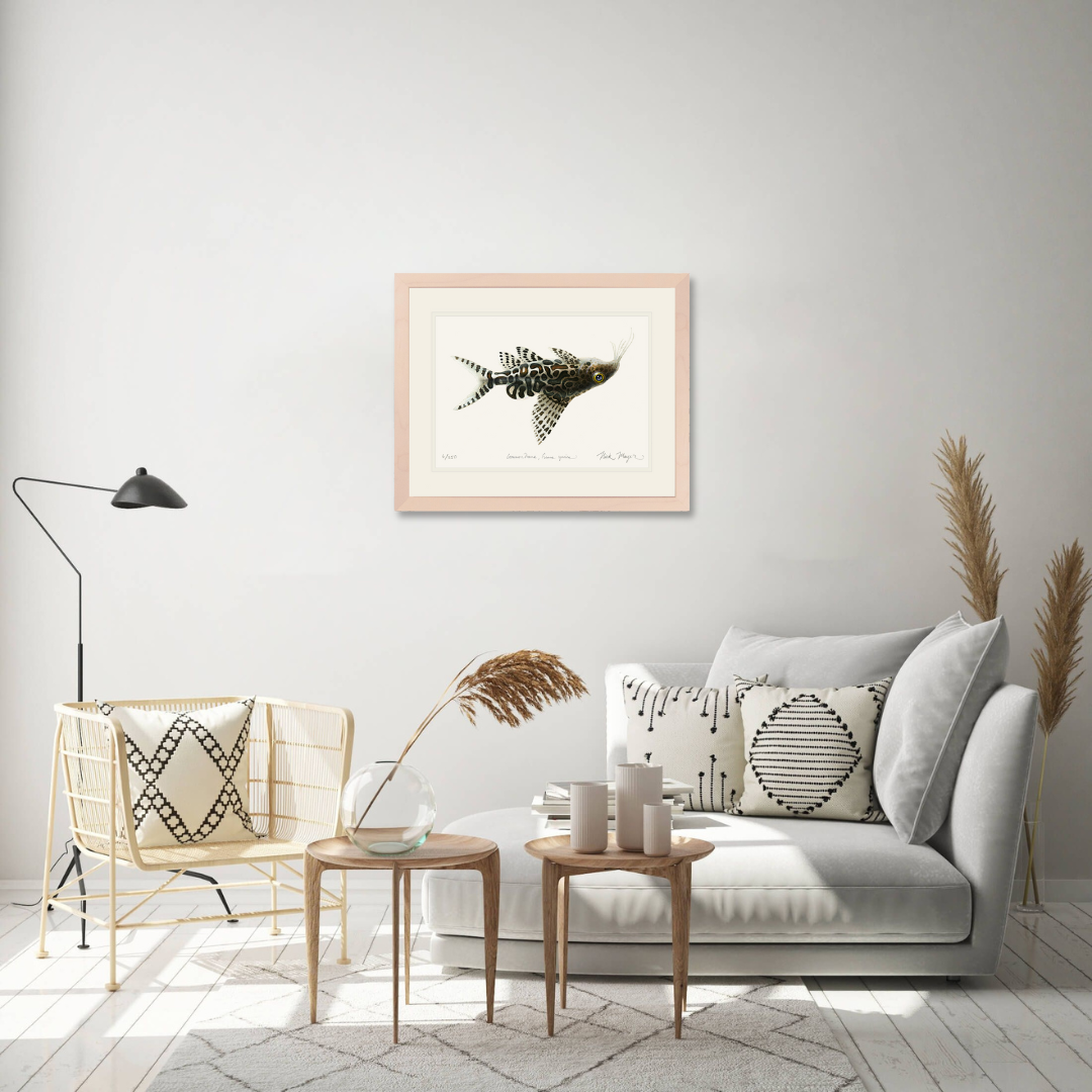 Upsidedown Catfish Limited Edition Print