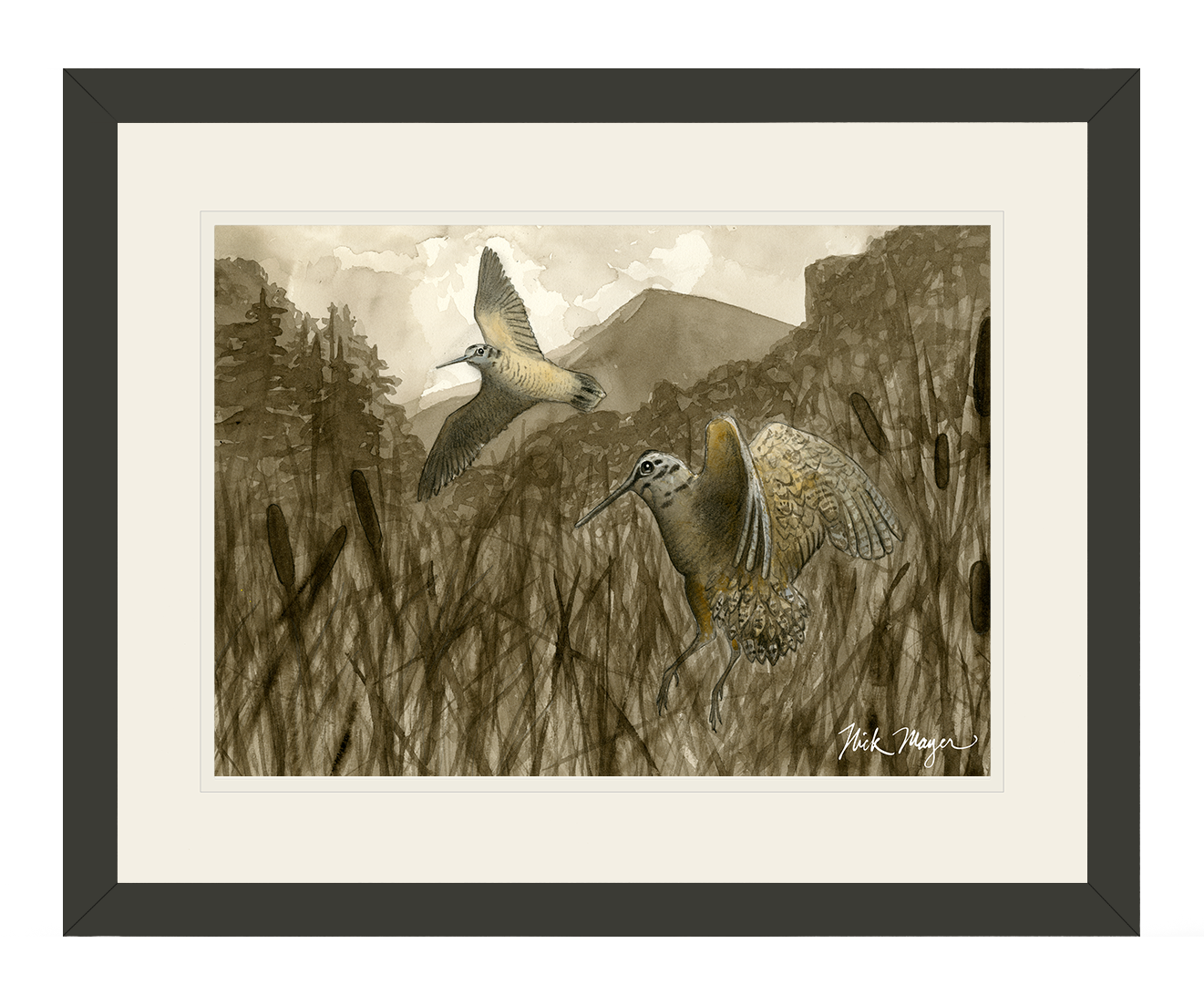 American Woodcock Limited Edition Print