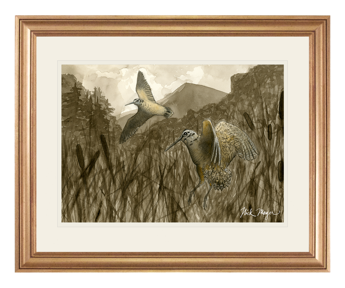American Woodcock Original Watercolor Painting