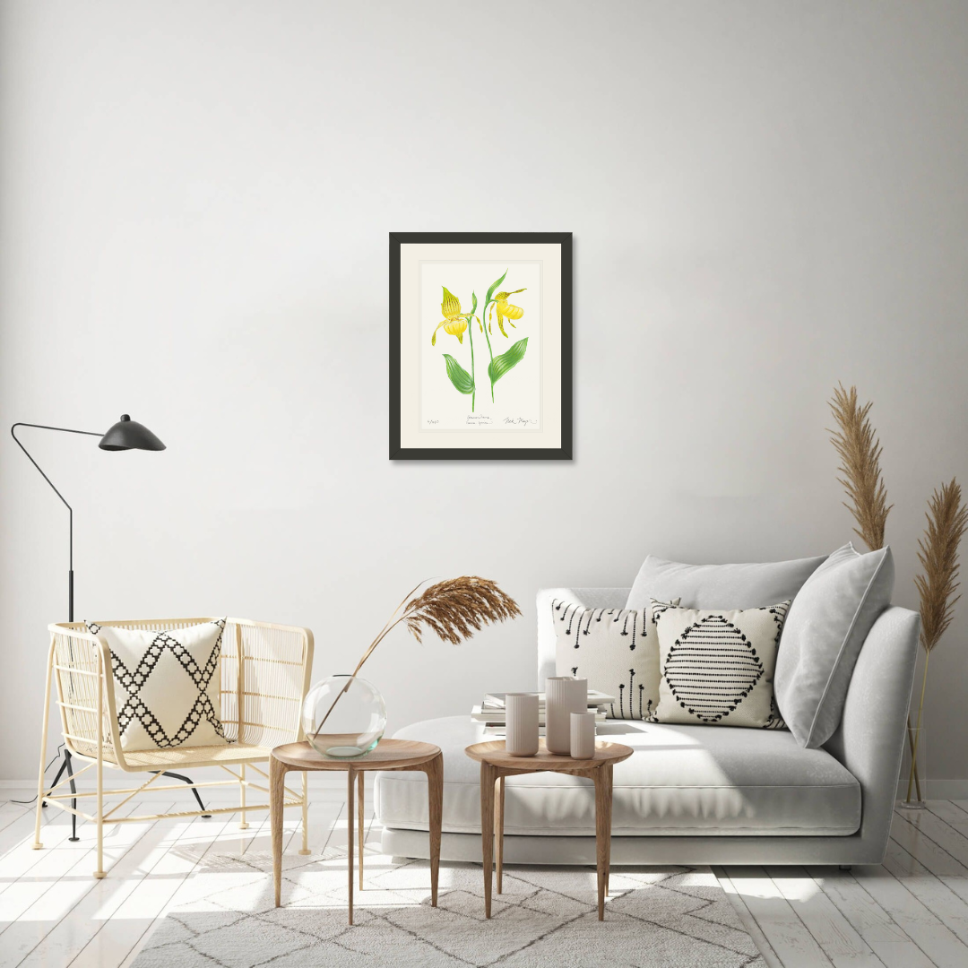 Yellow Lady's Slipper Wildflower Limited Edition Print