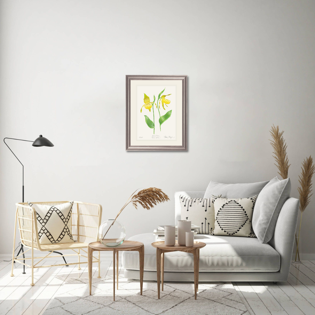 Yellow Lady's Slipper Wildflower Limited Edition Print