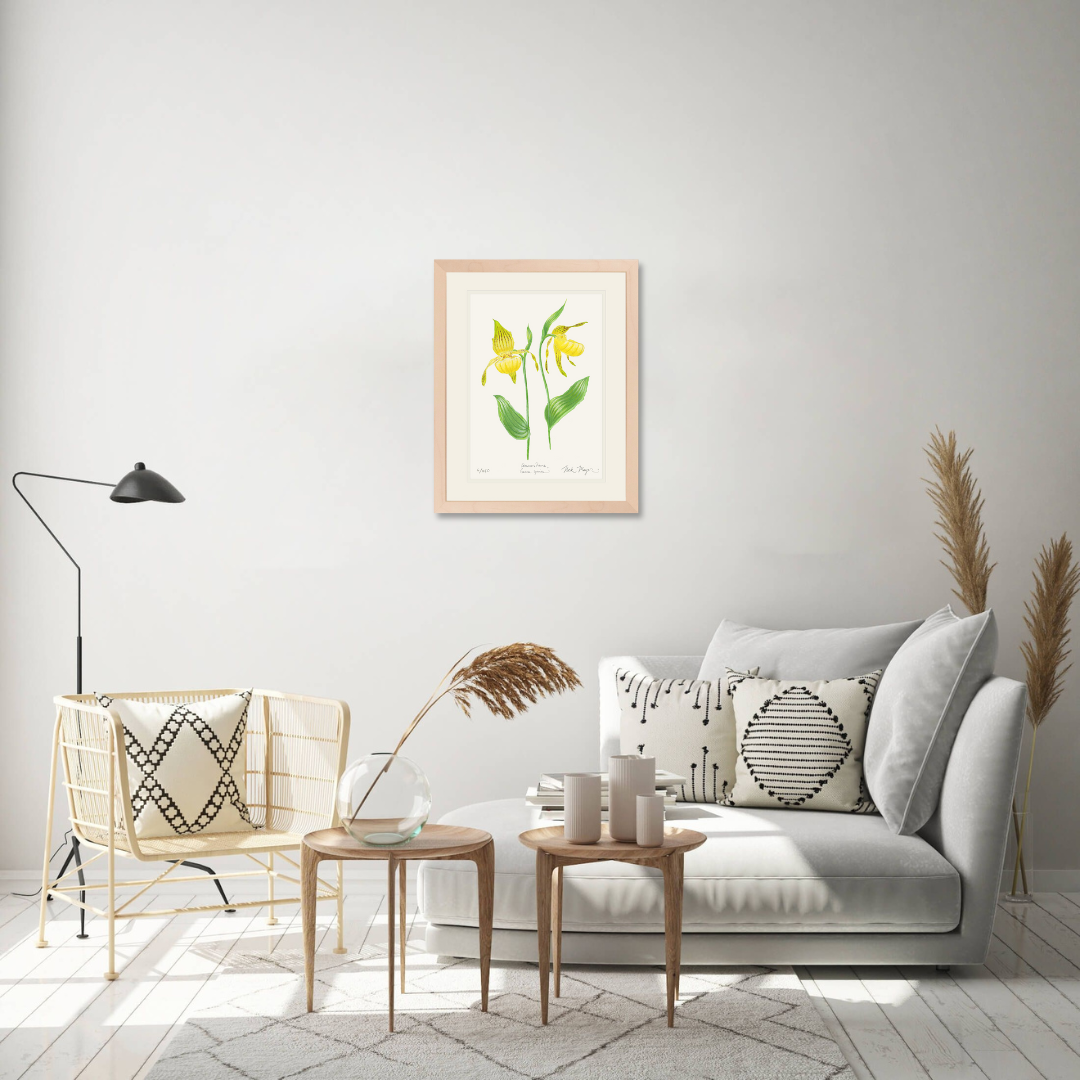Yellow Lady's Slipper Wildflower Limited Edition Print