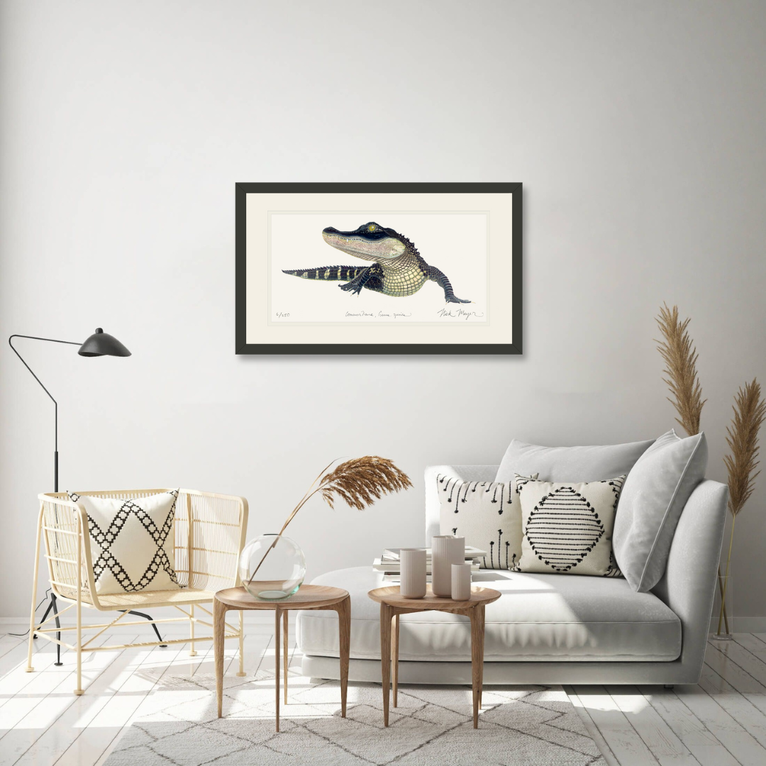 American Alligator Limited Edition Print