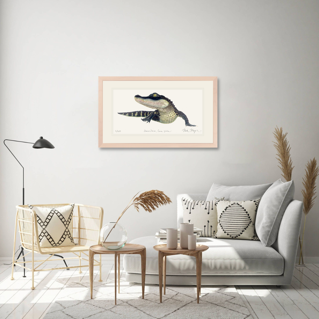 American Alligator Limited Edition Print