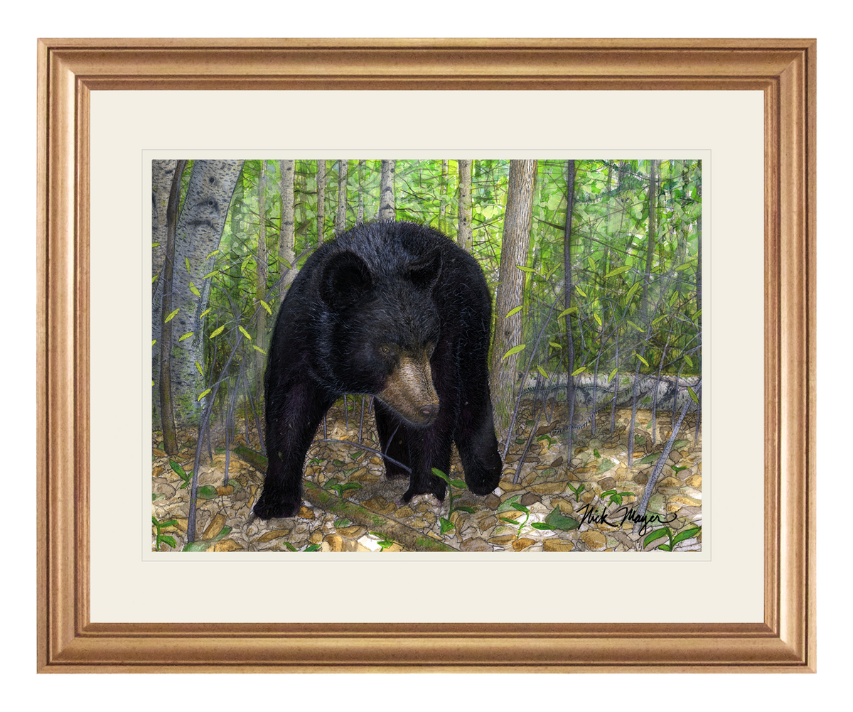 Black Bear Original Painting