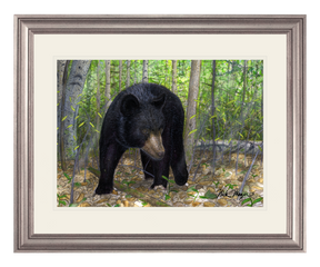 Black Bear Print