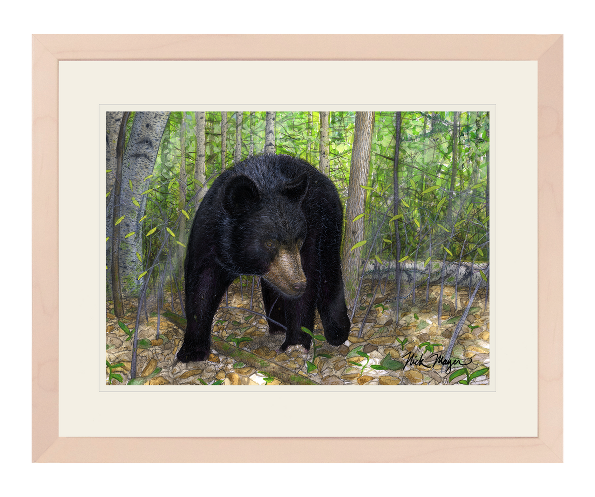 Black Bear Print
