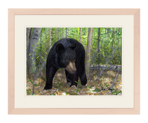 Black Bear Print