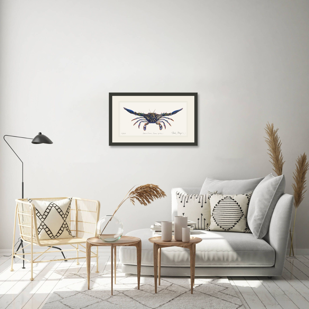 Blue Crab Claws Out Limited Edition Print