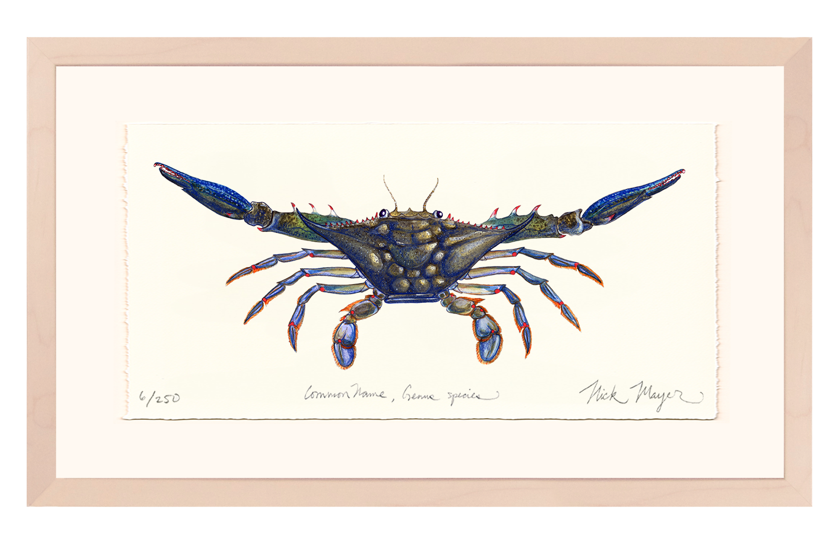 Blue Crab Claws Out Limited Edition Print