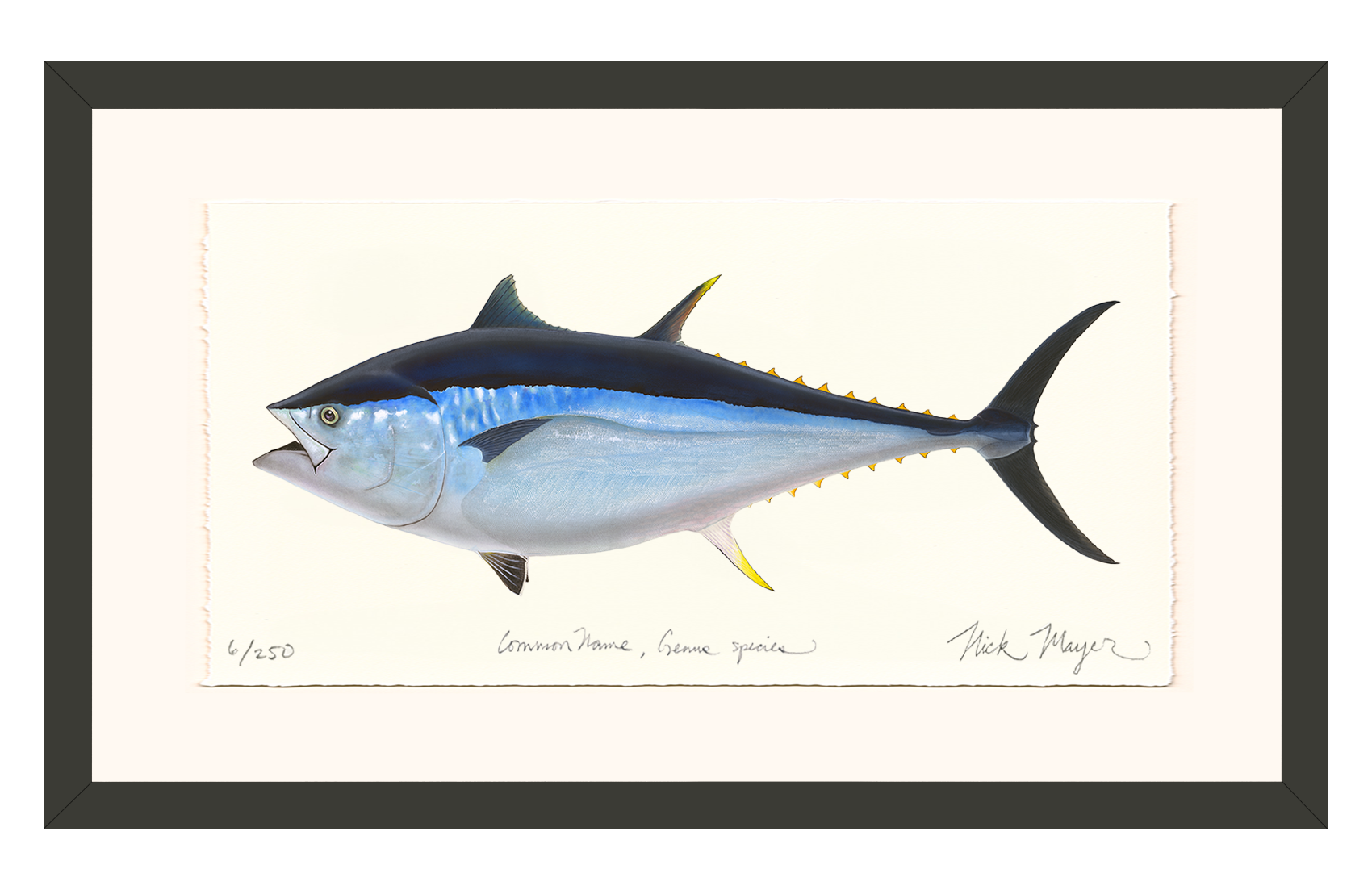 Giant Bluefin Tuna II Limited Edition Print - Best Seller