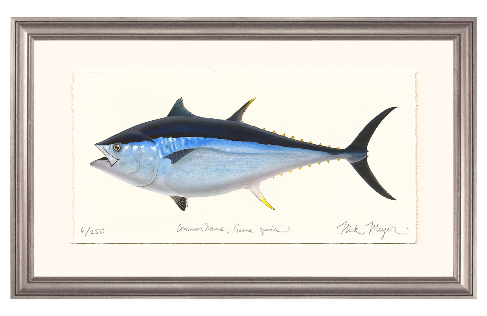 Giant Bluefin Tuna II Limited Edition Print - Best Seller