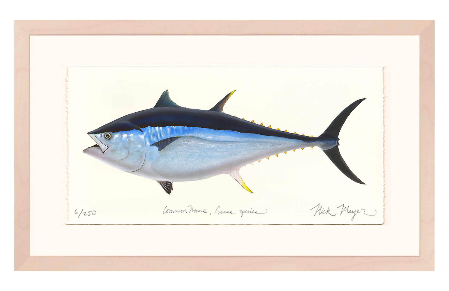 Giant Bluefin Tuna II Limited Edition Print - Best Seller