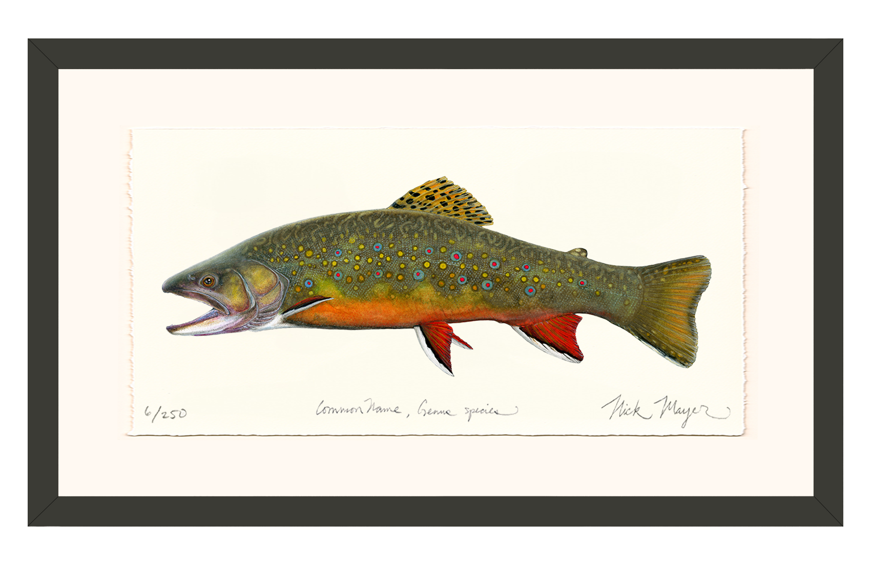 Beaver Pond Brook Trout Limited Edition Print - Best Seller