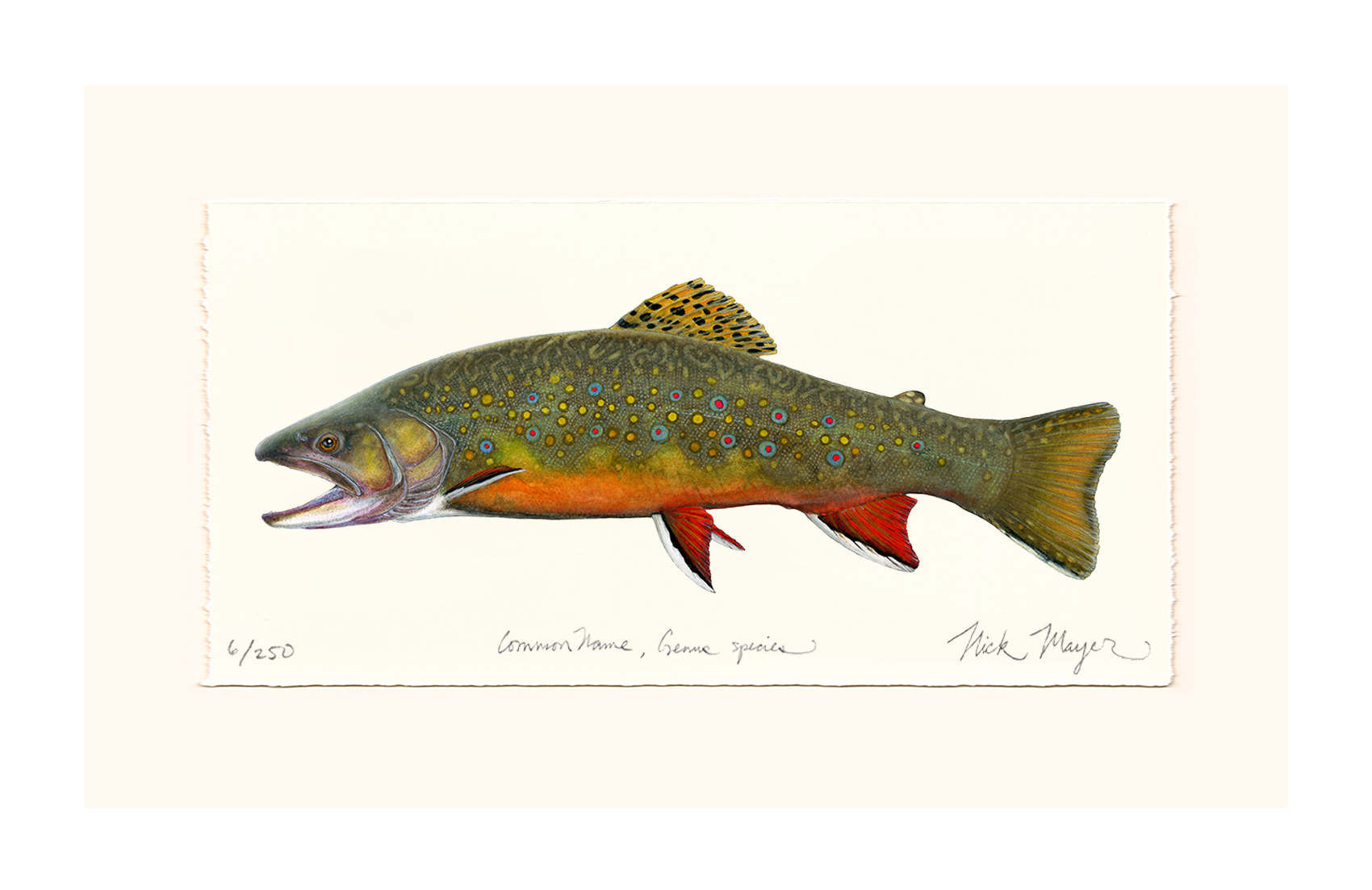 Beaver Pond Brook Trout Limited Edition Print - Best Seller