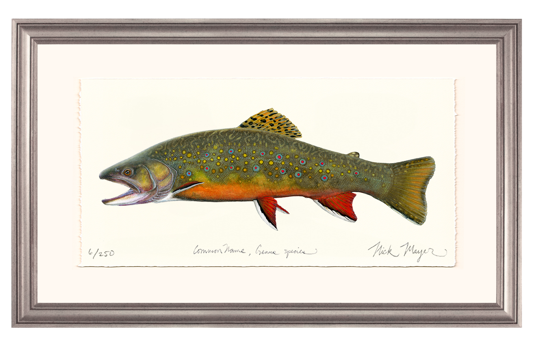 Beaver Pond Brook Trout Limited Edition Print - Best Seller