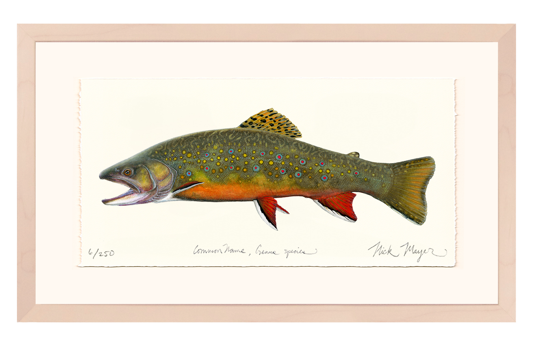 Beaver Pond Brook Trout Limited Edition Print - Best Seller