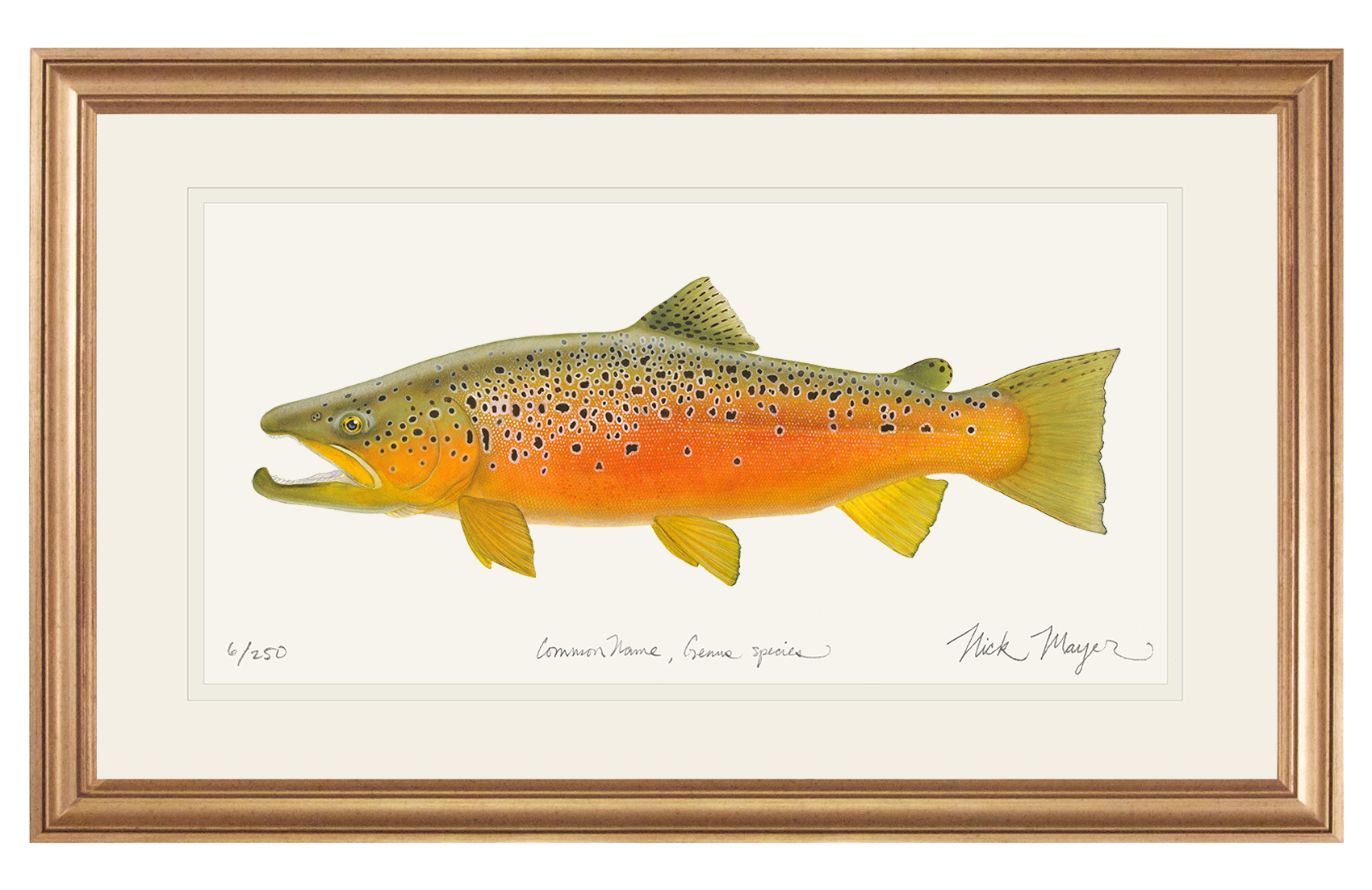 Brown Trout 2 Limited Edition Print - NEW for Holiday 2025!