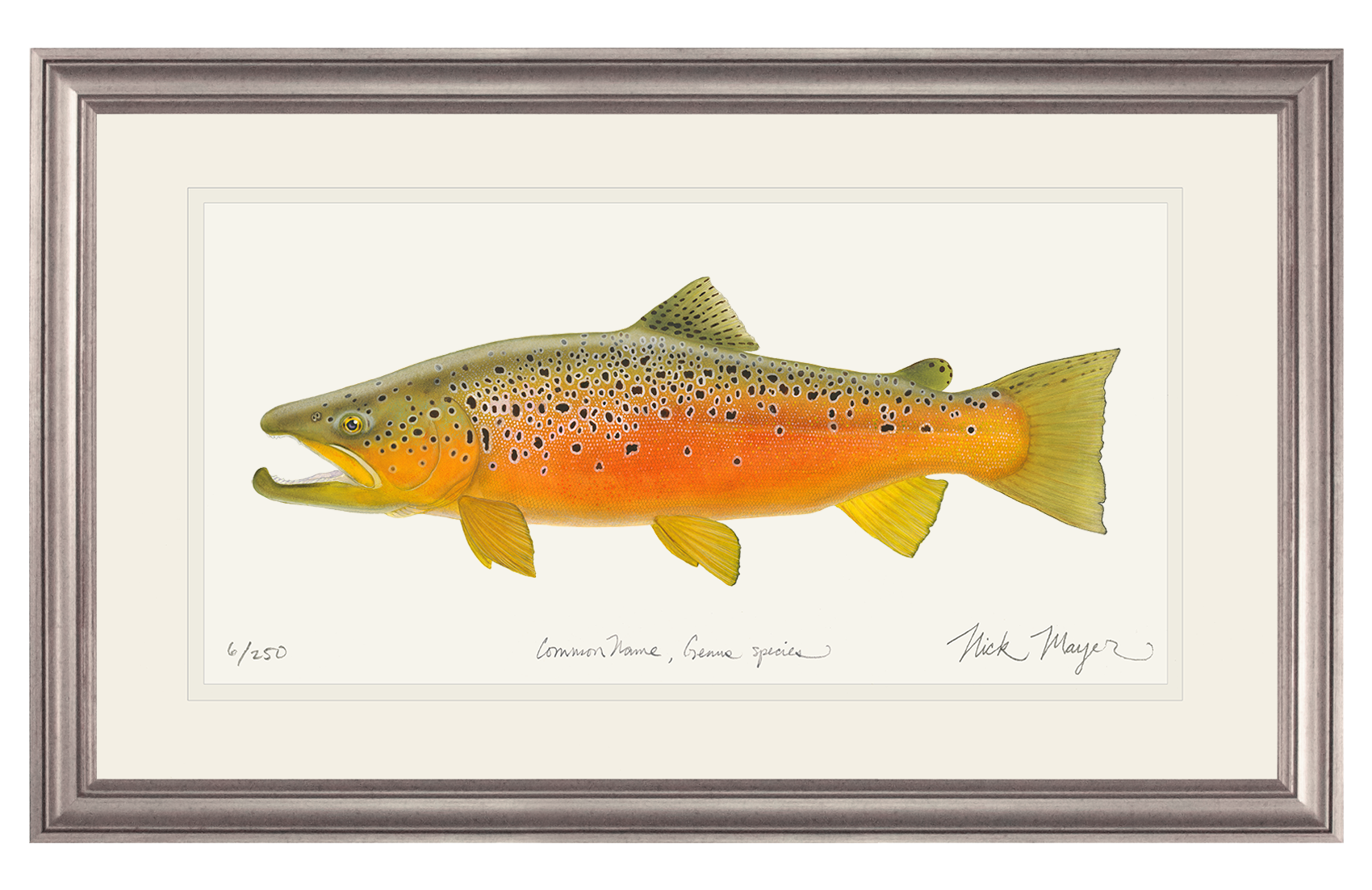 Brown Trout 2 Limited Edition Print - NEW for Holiday 2025!