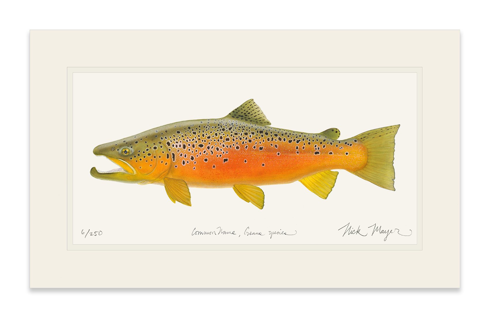 Brown Trout 2 Limited Edition Print - NEW for Holiday 2025!