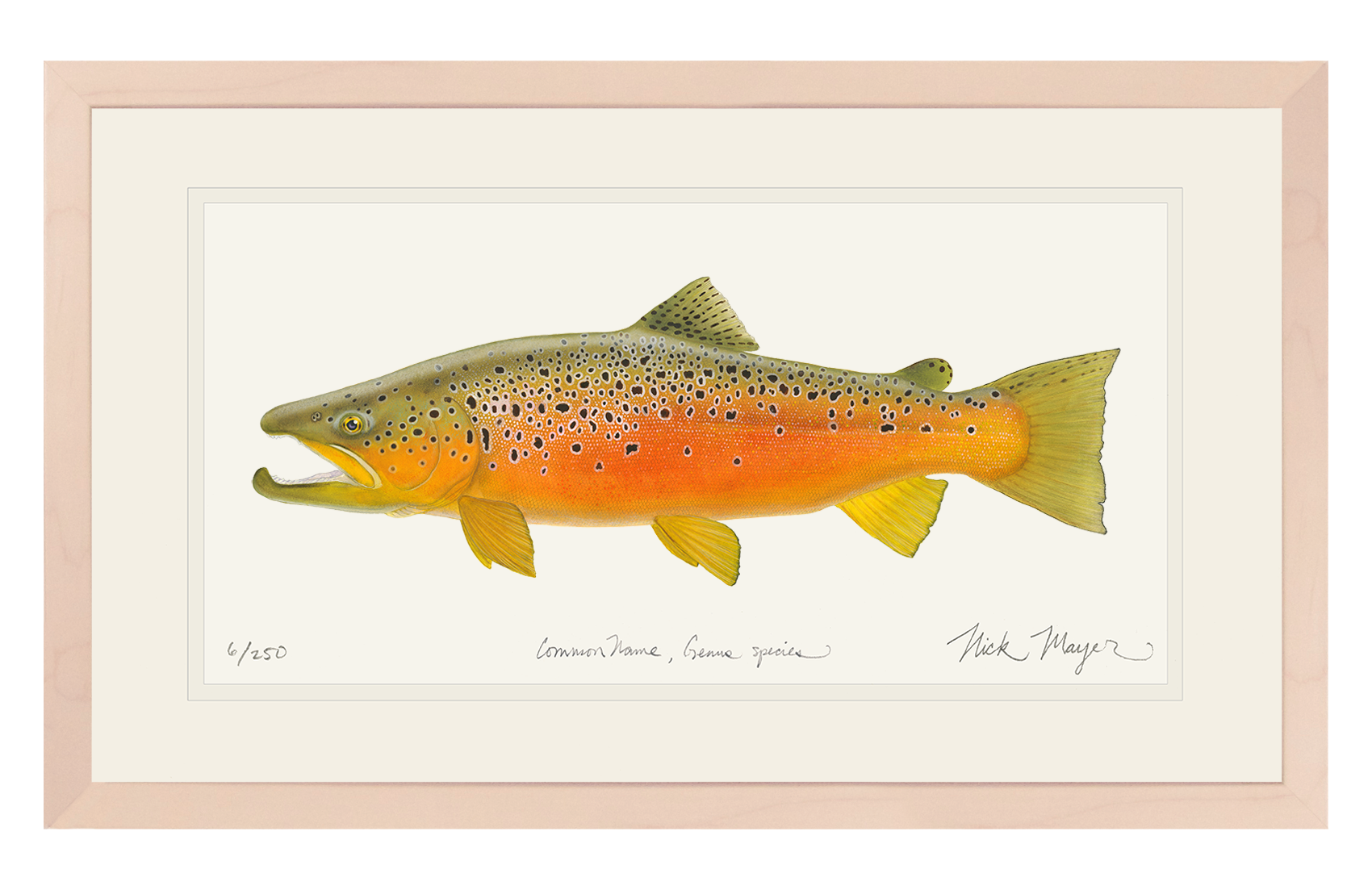 Brown Trout 2 Limited Edition Print - NEW for Holiday 2025!