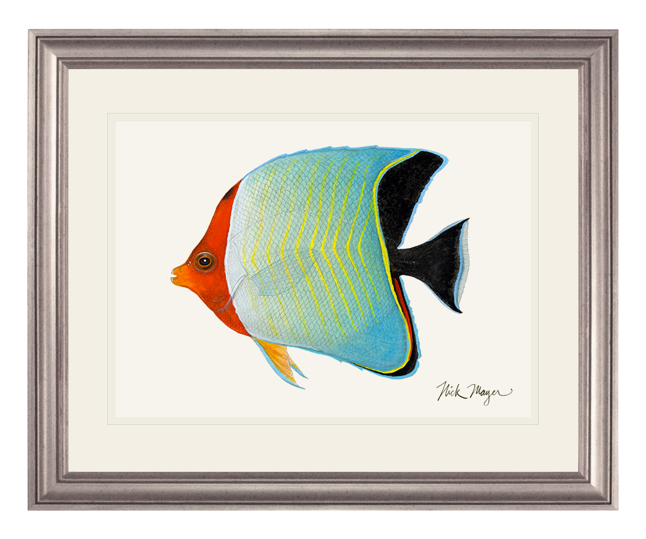 Hooded Butterflyfish Print - NEW