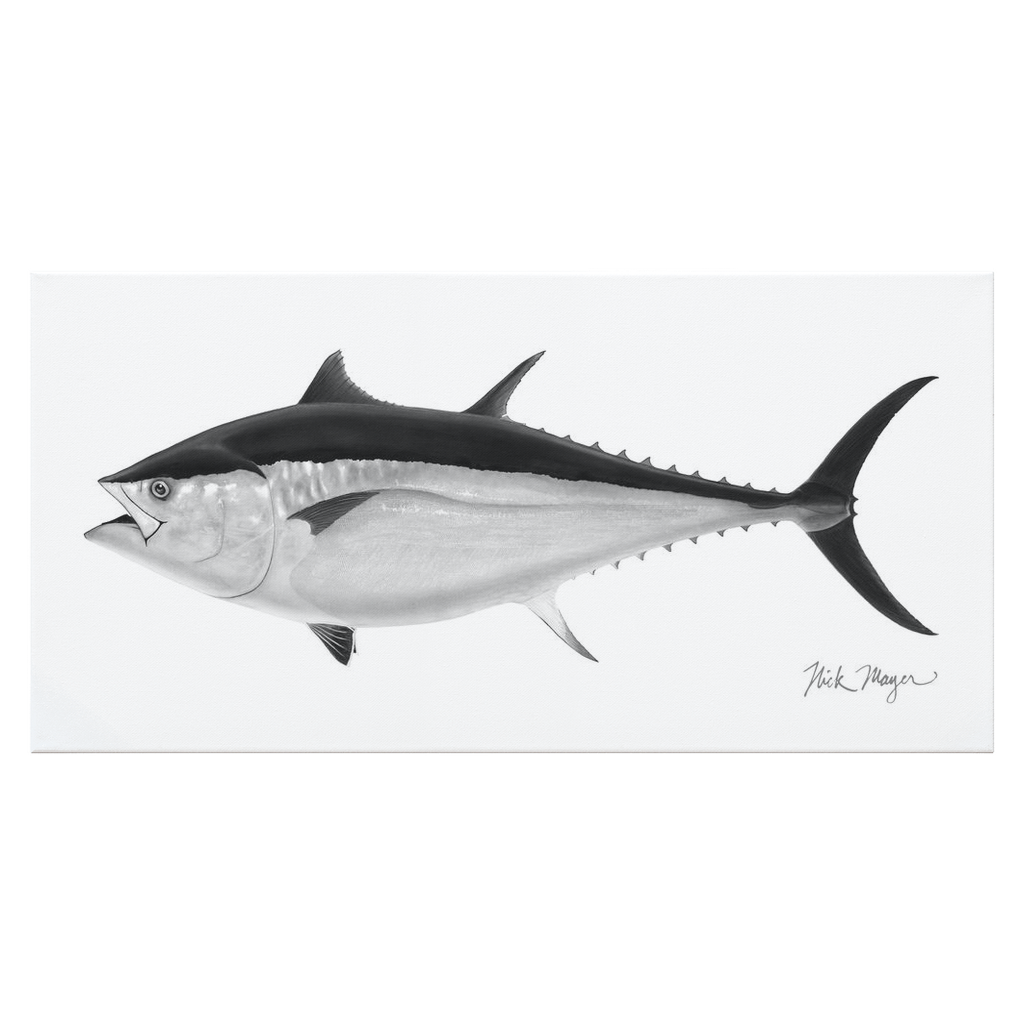 Black & White Giant Bluefin Tuna II Canvas Print