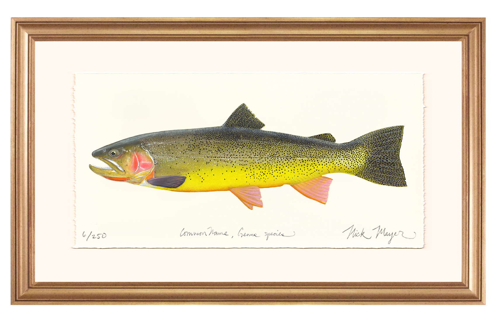 Cutthroat Trout 3 Limited Edition Print - NEW for May 2026!