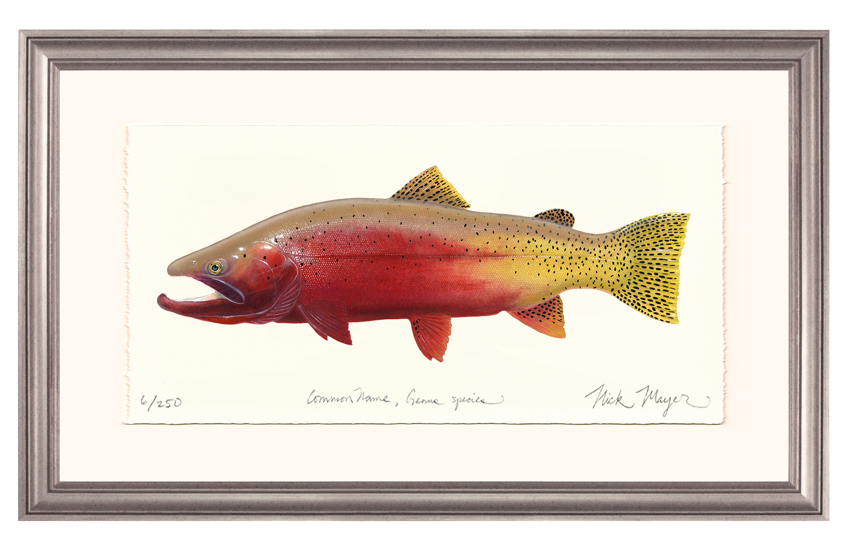 Cutthroat Trout 2 Limited Edition Print - NEW for Holiday 2025!
