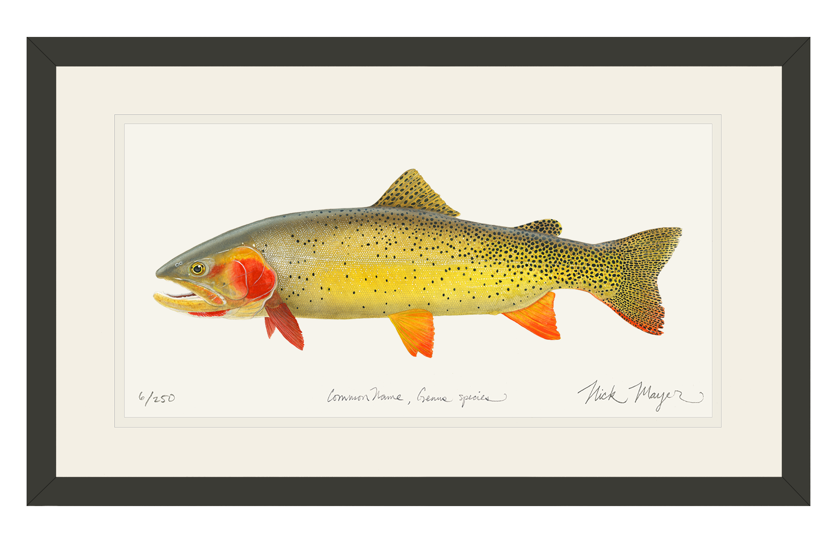 Cutthroat Trout 1 Limited Edition Print - NEW for Holiday 2025!