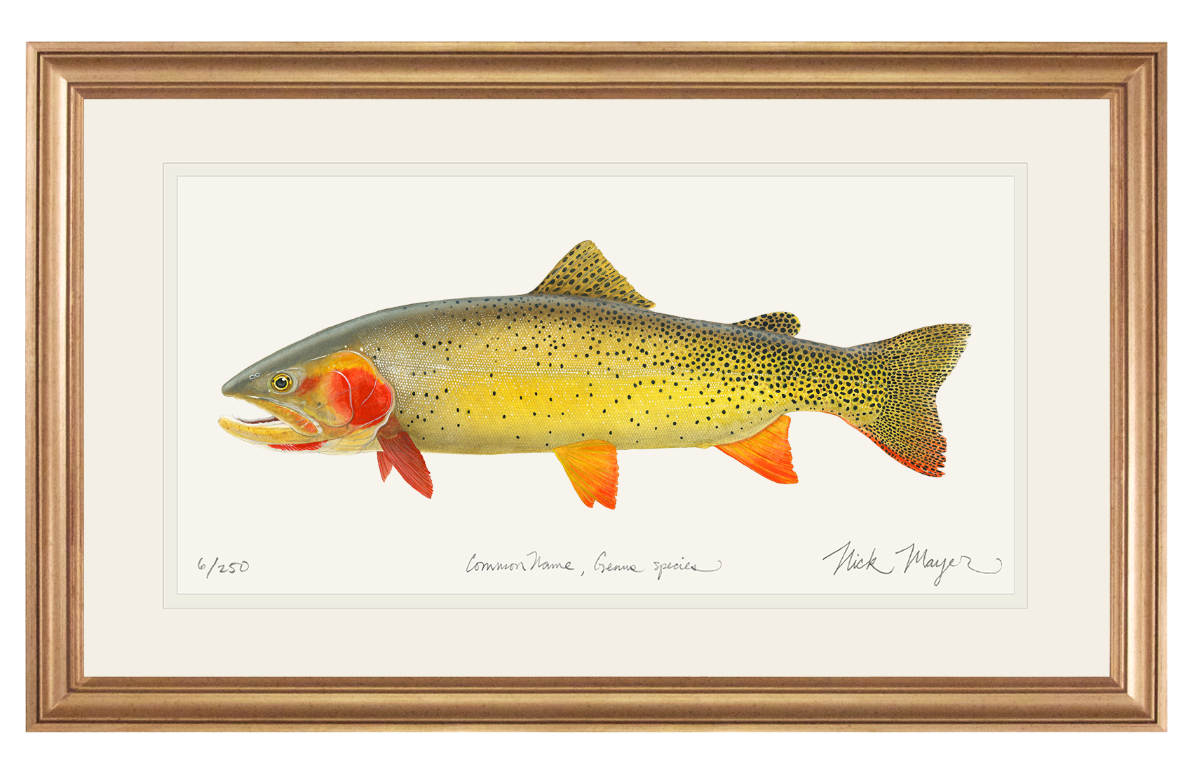 Cutthroat Trout 1 Limited Edition Print - NEW for Holiday 2025!