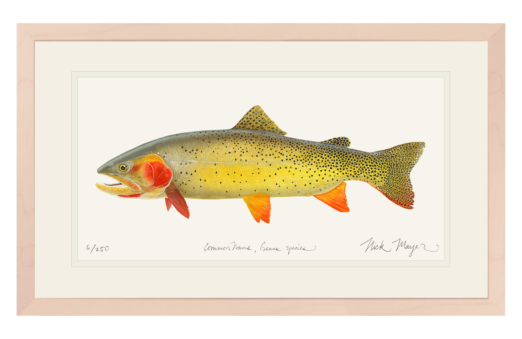 Cutthroat Trout 1 Limited Edition Print - NEW for Holiday 2025!
