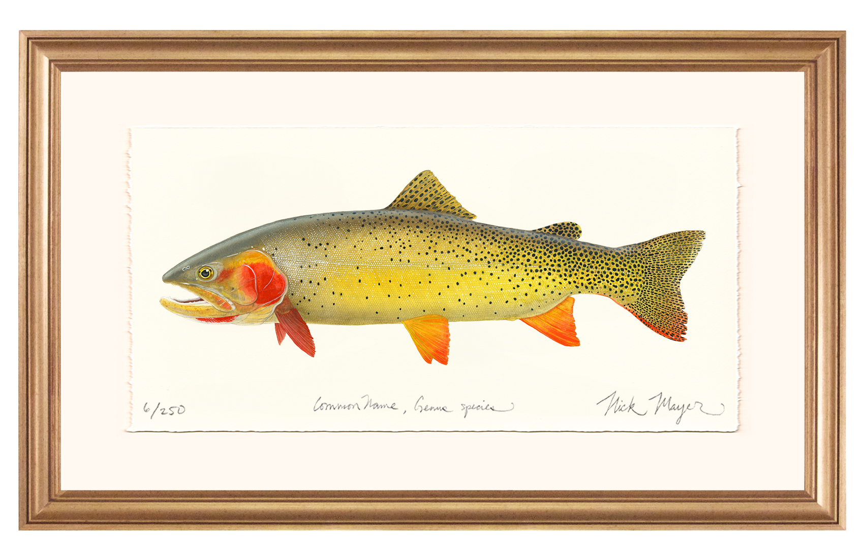 Cutthroat Trout 1 Limited Edition Print - NEW for Holiday 2025!