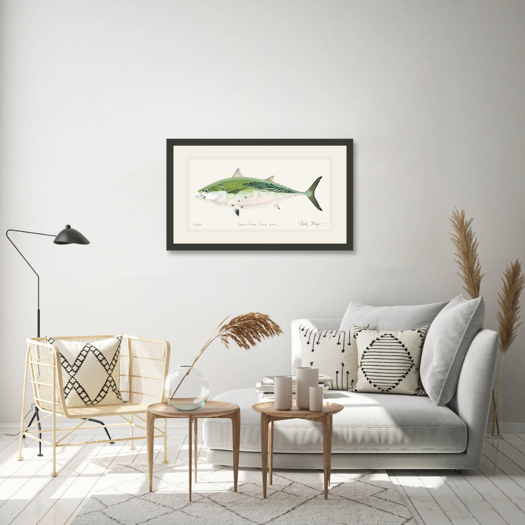 False Albacore IV Limited Edition Print - Best Seller