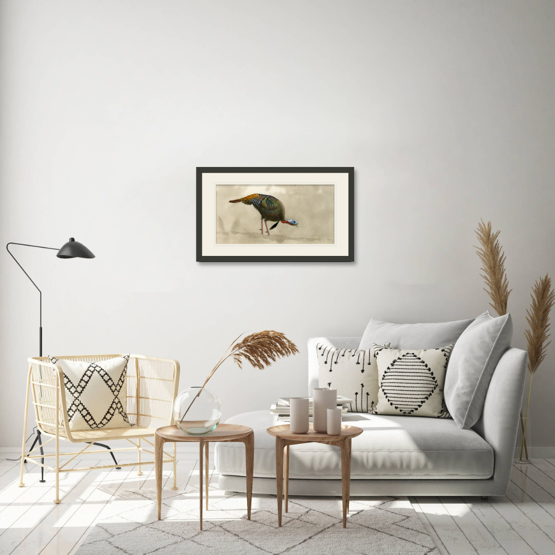 Feeding Tom Turkey Limited Edition Print
