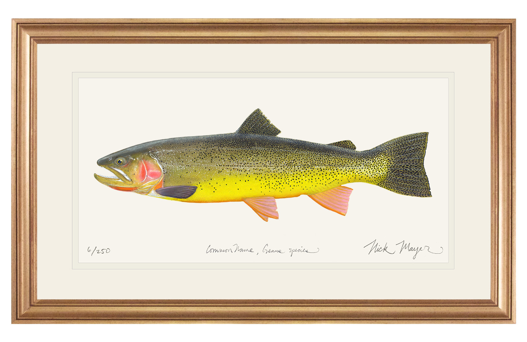 Cutthroat Trout 3 Limited Edition Print - NEW for May 2026!