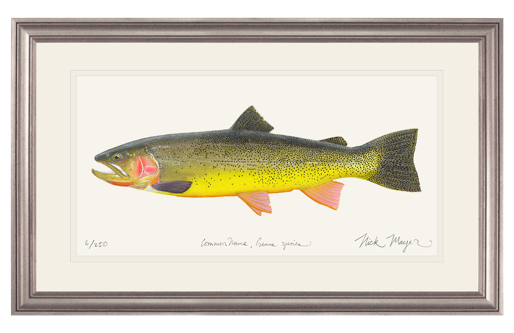 Cutthroat Trout 3 Limited Edition Print - NEW for May 2026!